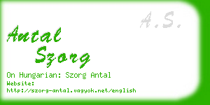 antal szorg business card